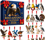 CALENDARIO DELL’AVVENTO – Uccelli